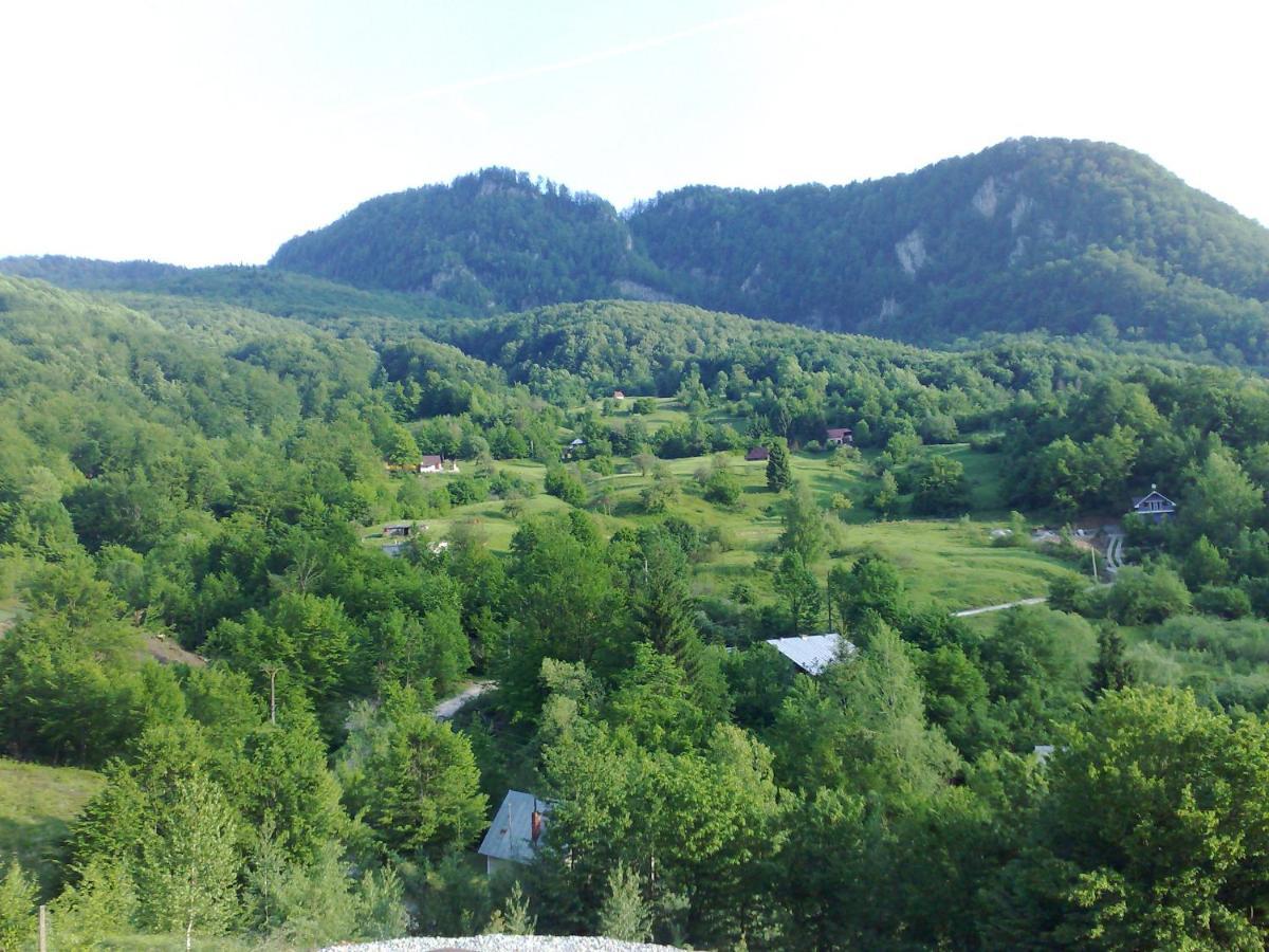 Pensiunea Dolvas Padis Exterior photo