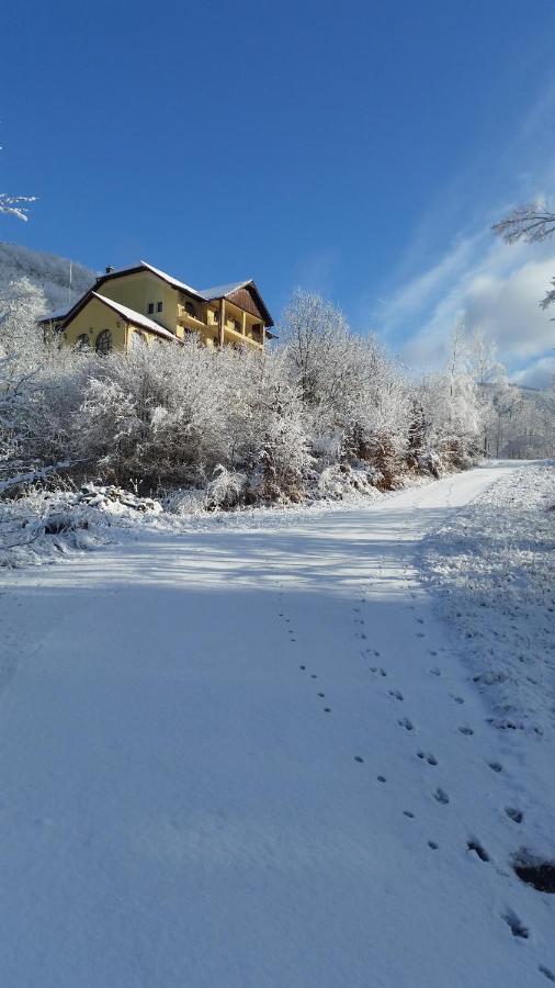 Pensiunea Dolvas Padis Exterior photo