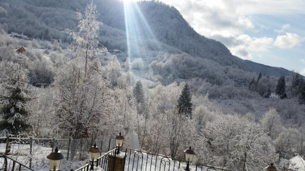 Pensiunea Dolvas Padis Exterior photo