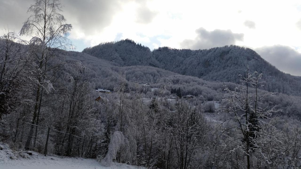 Pensiunea Dolvas Padis Exterior photo